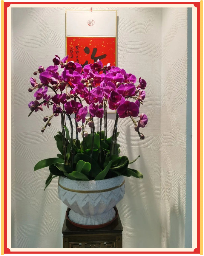 廣東博皓開工大吉丨金虎騰躍，兔來運轉           -23