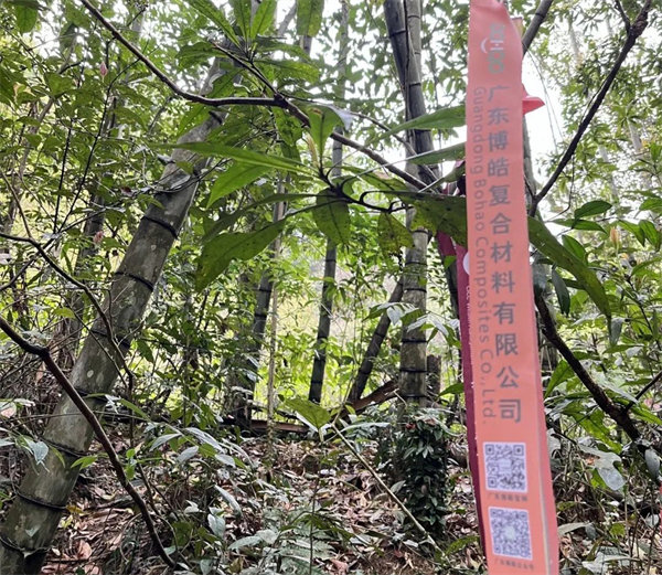 凝心聚力再出發，風雨同舟赴星溪！--廣東博皓2024龍年首登星溪之旅     -2