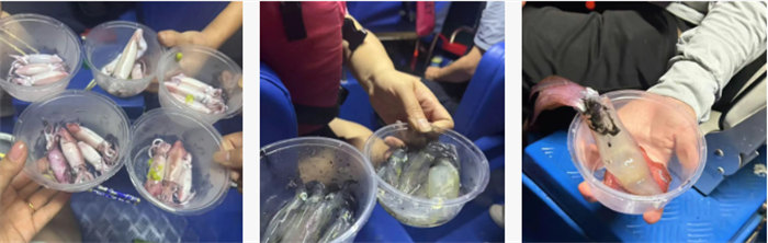 攜手博皓逐夢行，巽寮灣上展豪情—廣東博皓2025年巽寮灣之旅    -10