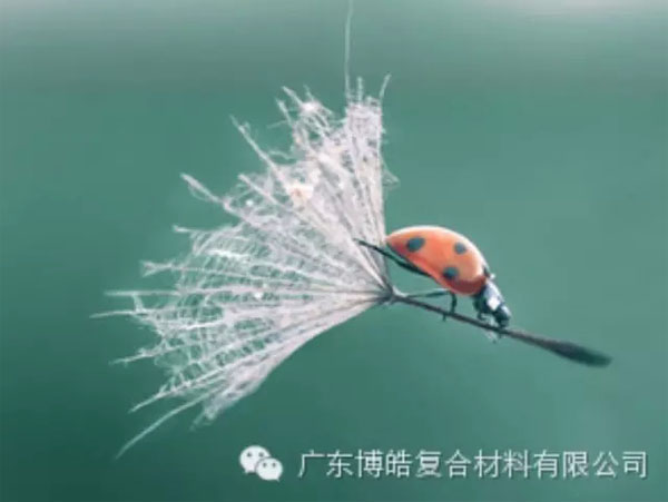 【博皓感悟】成功,要“借力”,不要“盡力”